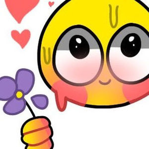 Meet your Posher, Alondra